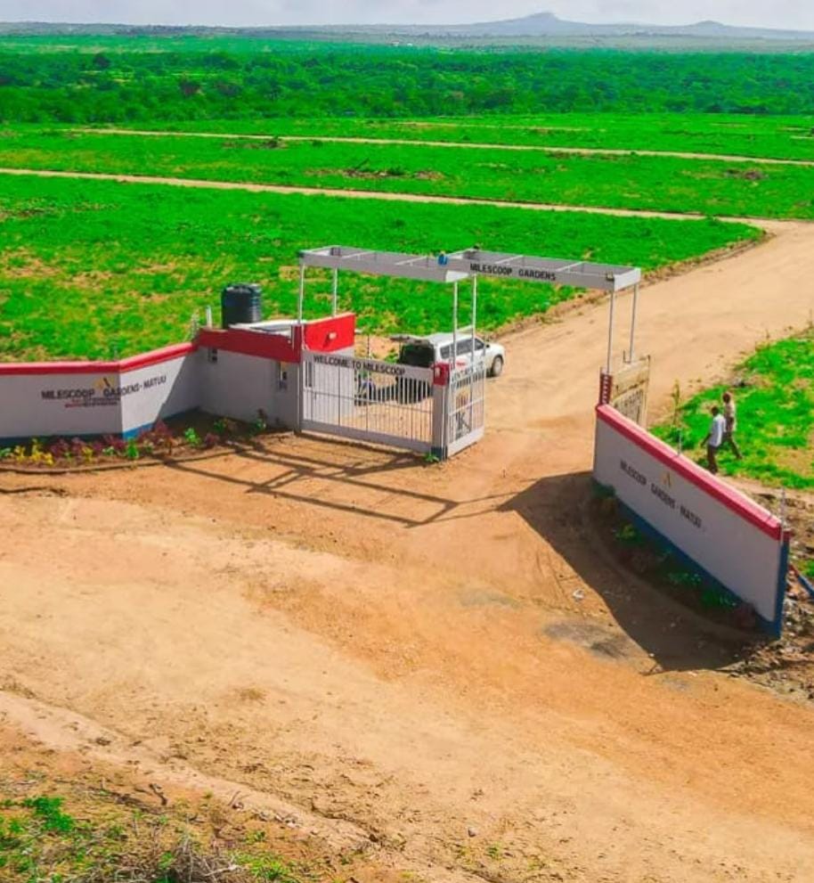 Matuu prime plots for sale 