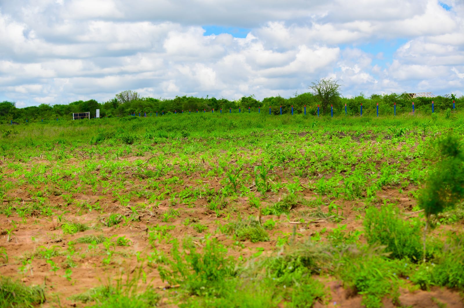 Matuu plots for Sale