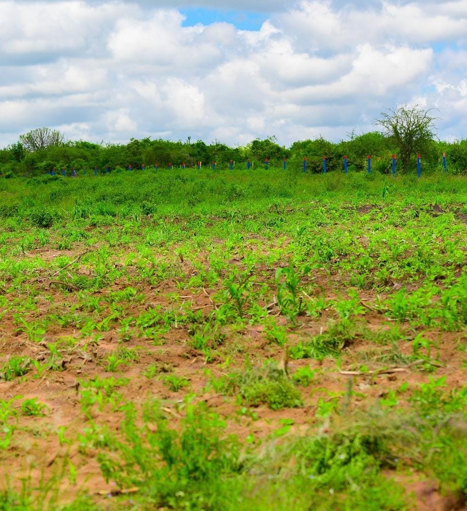Malindi 4 acre prime land for sale