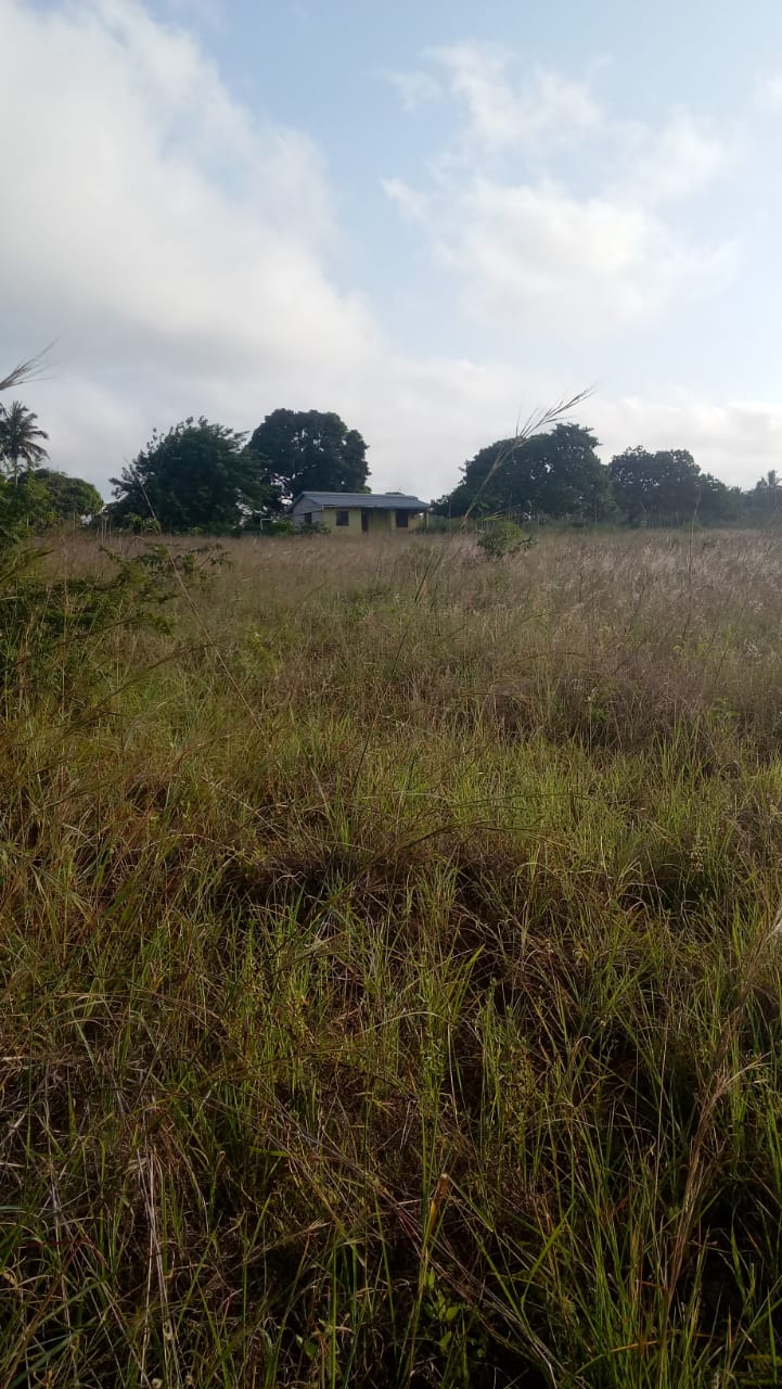 🏘️ Modern 3-Bedroom Other for Sale in Kwale  KWALE County — Prime Investment Opportunity | KultaProperties