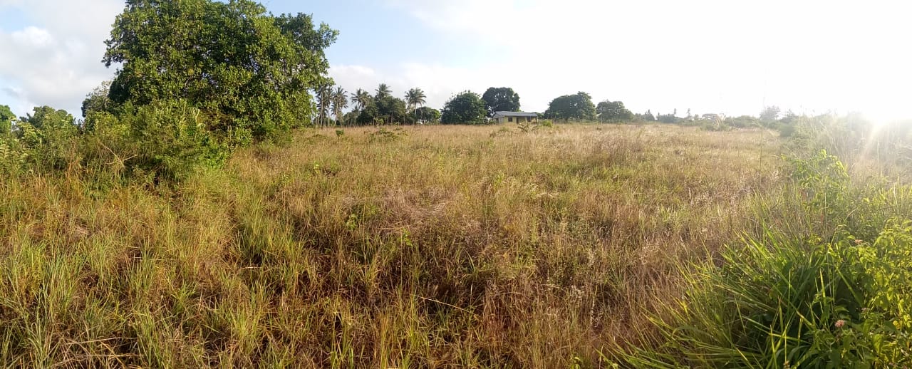 🏘️ Modern 3-Bedroom Other for Sale in Kwale  KWALE County — Prime Investment Opportunity | KultaProperties