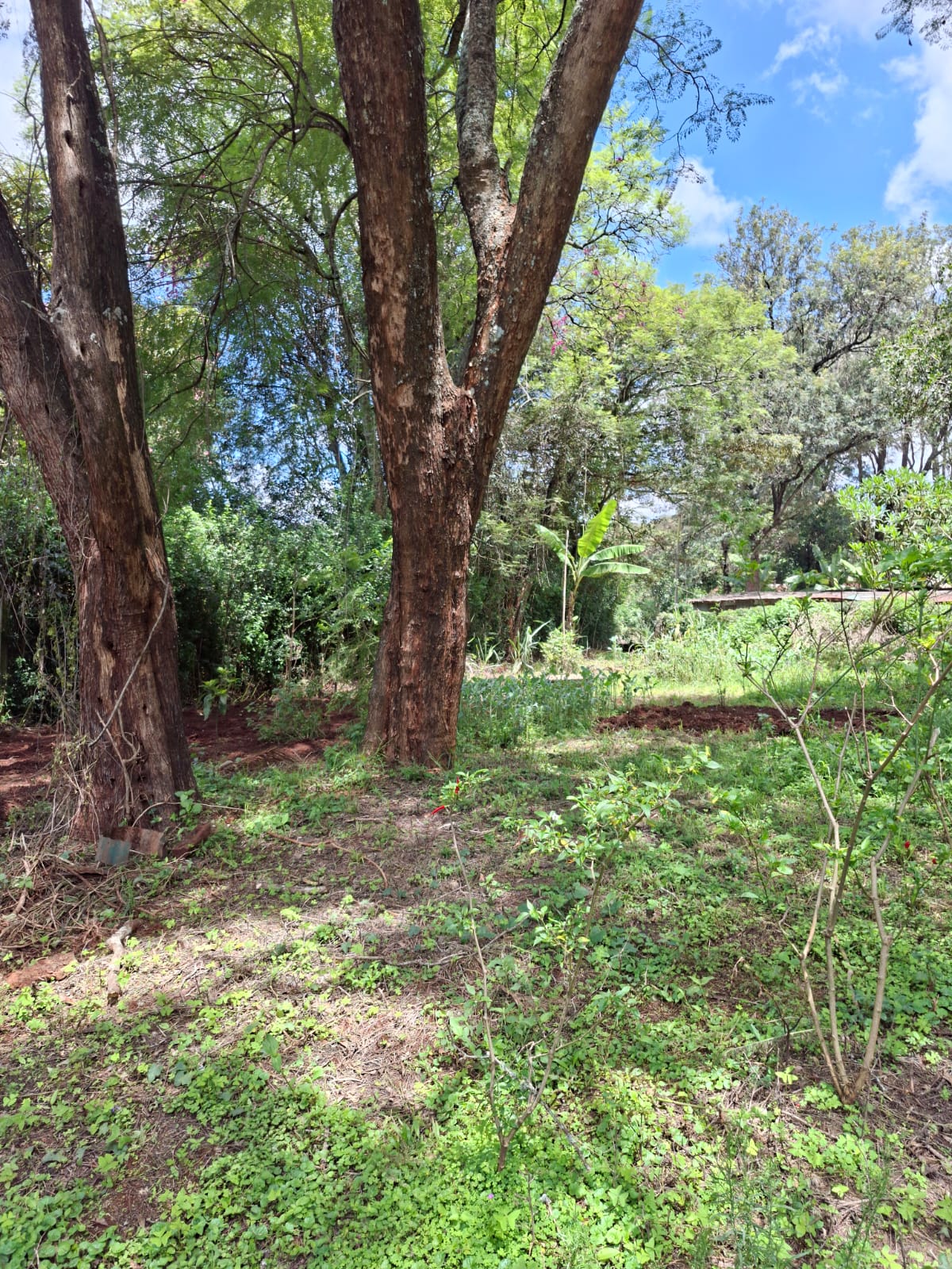 Karen 1 Acre for Sale 